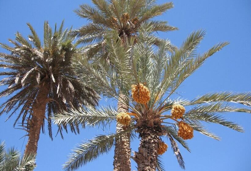 膳宿费 La Maison De L Homme Bleu