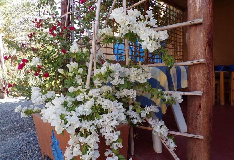 膳宿费 La Maison De L Homme Bleu