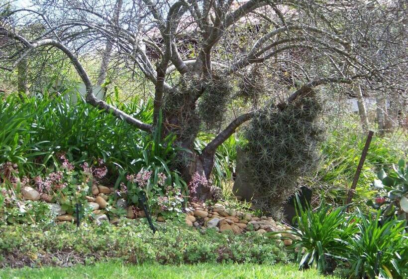 膳宿费 Lemontree Cottage