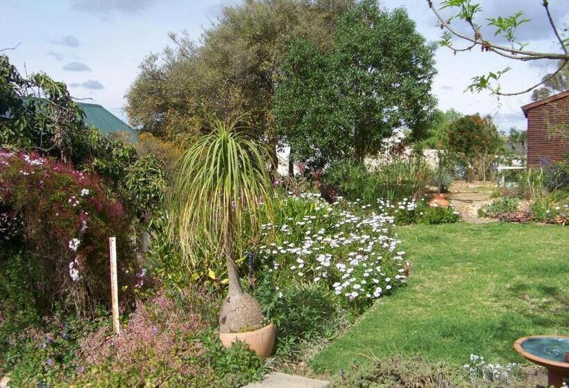 פנסיון Lemontree Cottage