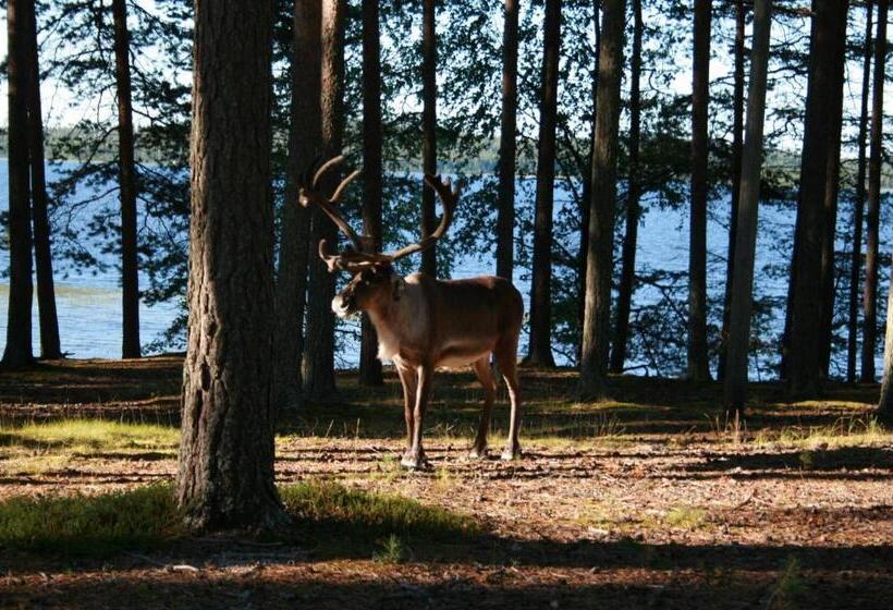Пансион Lohijärven Eräkeskus