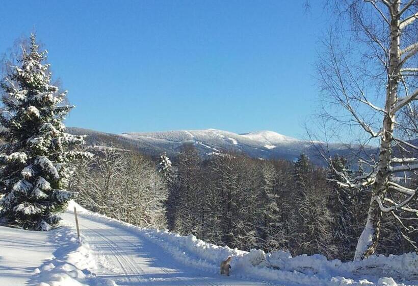 Пансион Na Planýrce