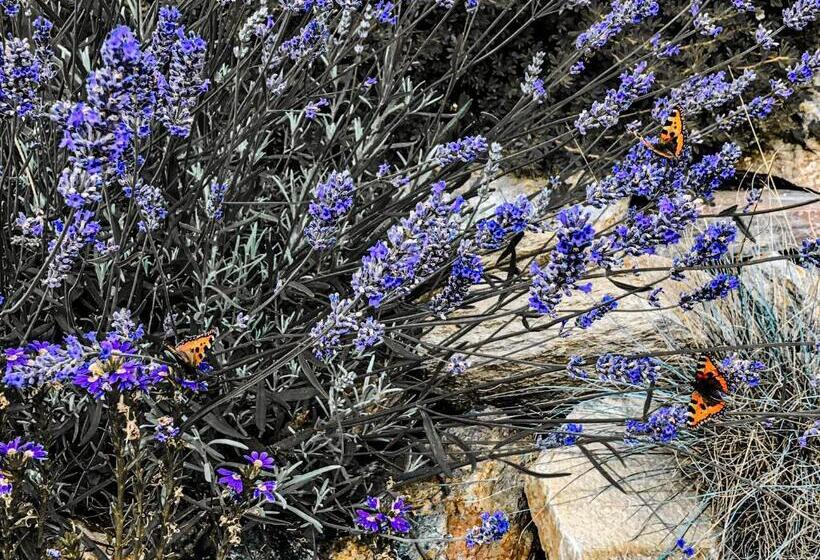 Пансион Na Planýrce