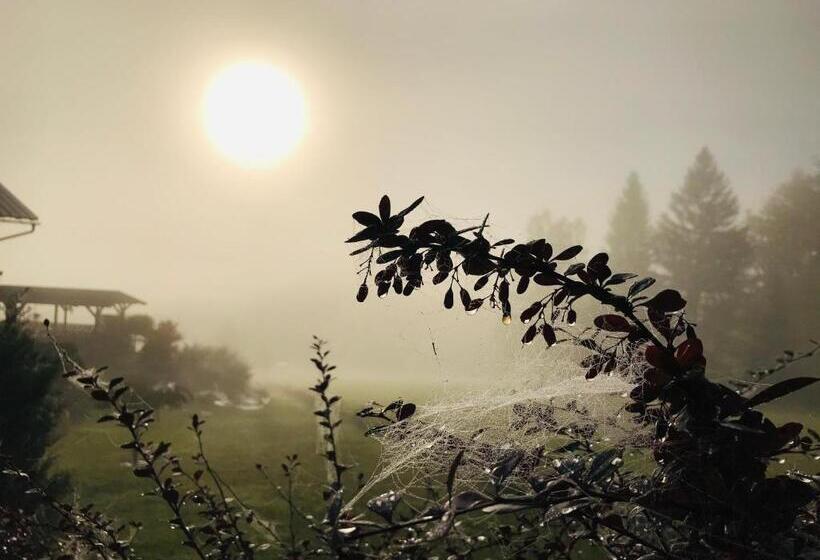 Пансион Na Planýrce