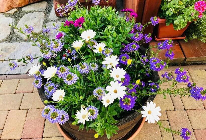 Пансион Na Planýrce