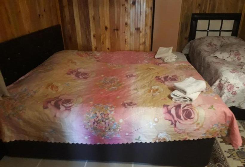 ペンション Nesilce Tatil Koyu