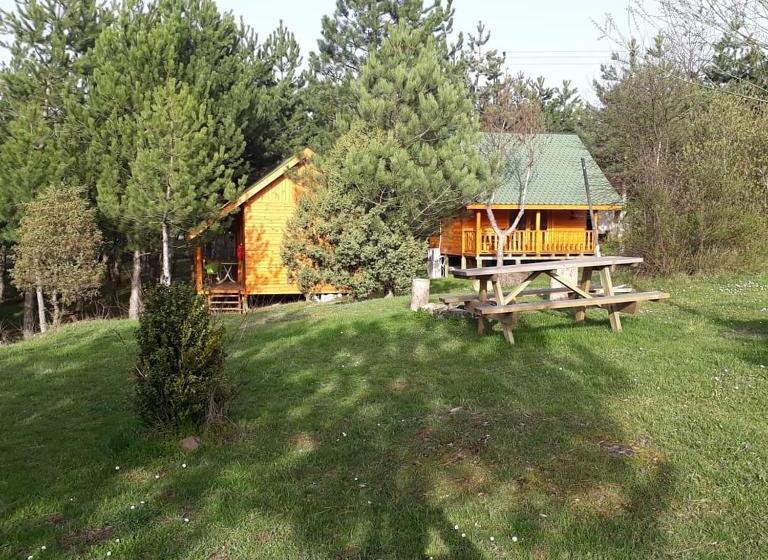 ペンション Nesilce Tatil Koyu