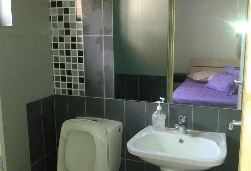 بنسيون Nopti De Vara Transfăgărășan