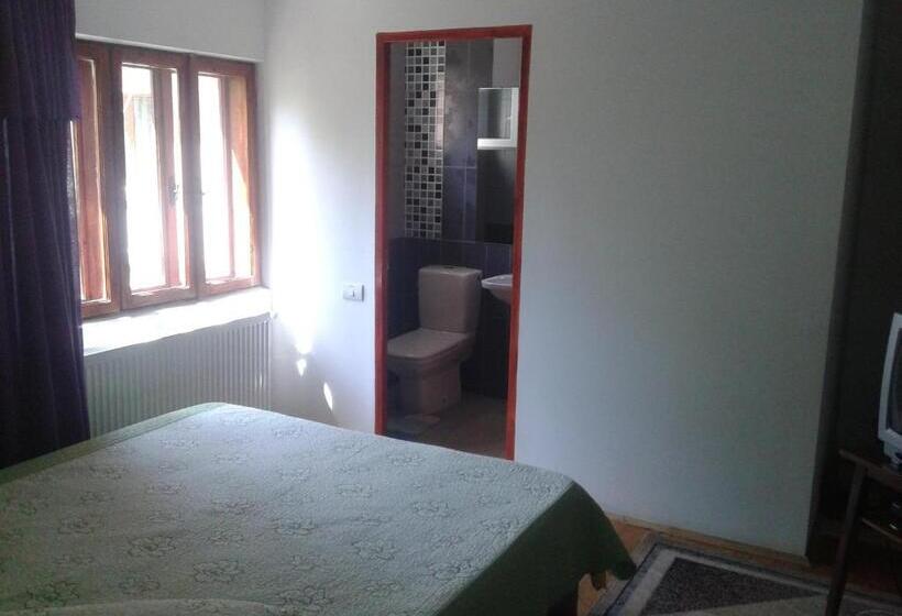 بنسيون Nopti De Vara Transfăgărășan