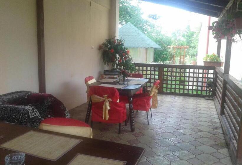 بنسيون Nopti De Vara Transfăgărășan