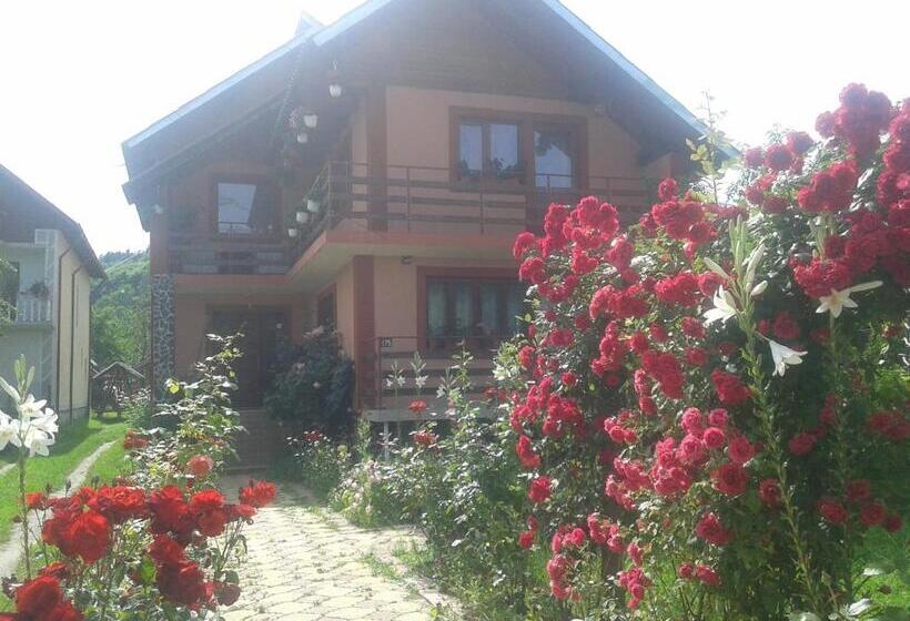 بنسيون Nopti De Vara Transfăgărășan