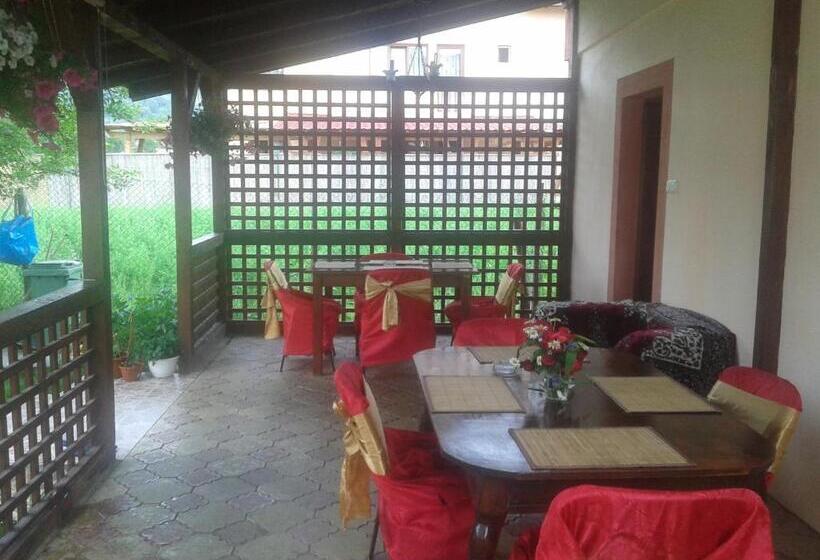 بنسيون Nopti De Vara Transfăgărășan