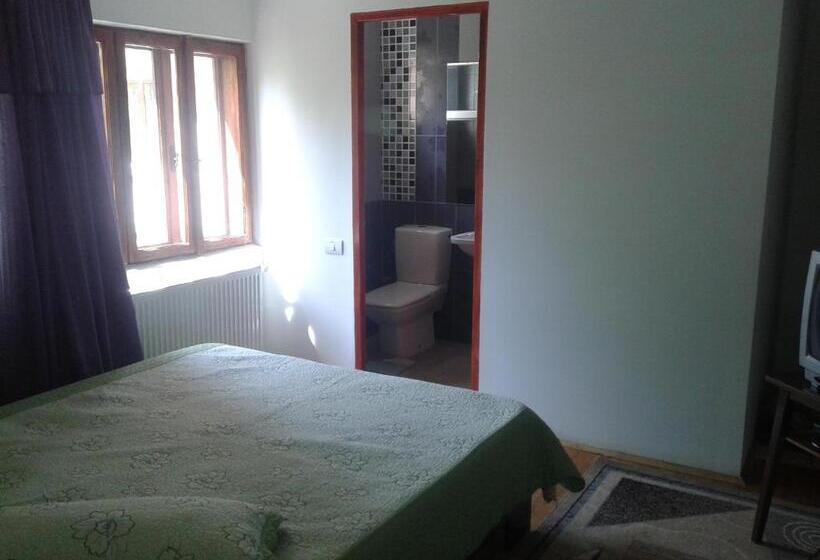 بنسيون Nopti De Vara Transfăgărășan