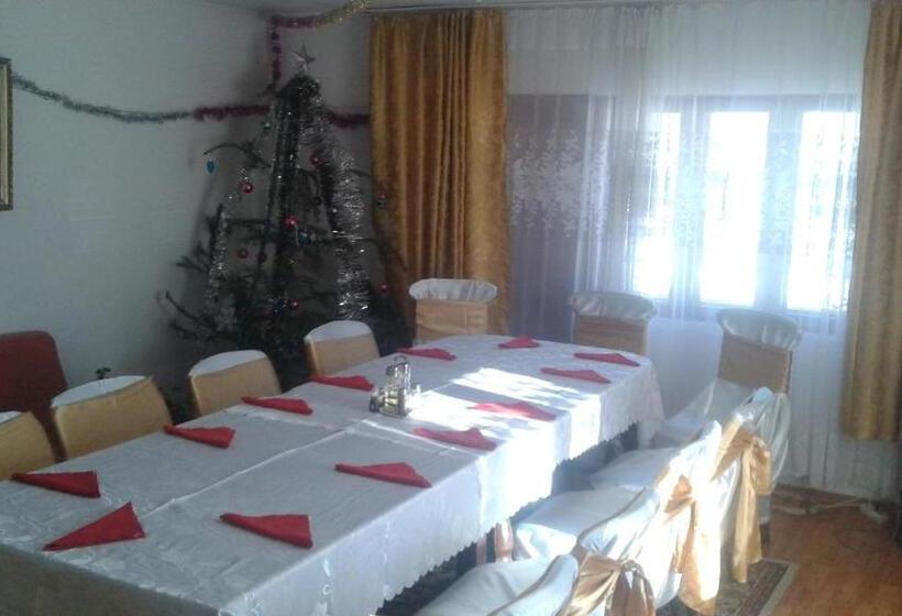 بنسيون Nopti De Vara Transfăgărășan