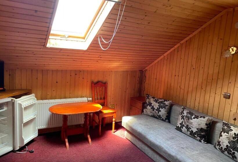 بنسيون Panorama Karpat