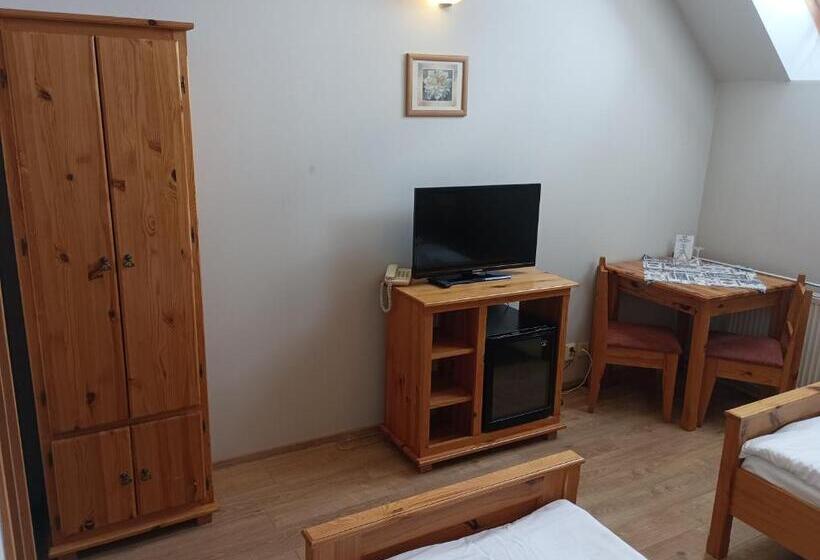 פנסיון Penzión Réva