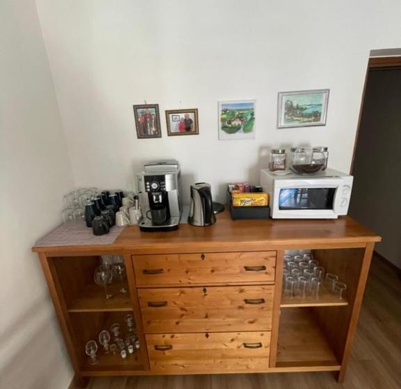 פנסיון Penzion Adler