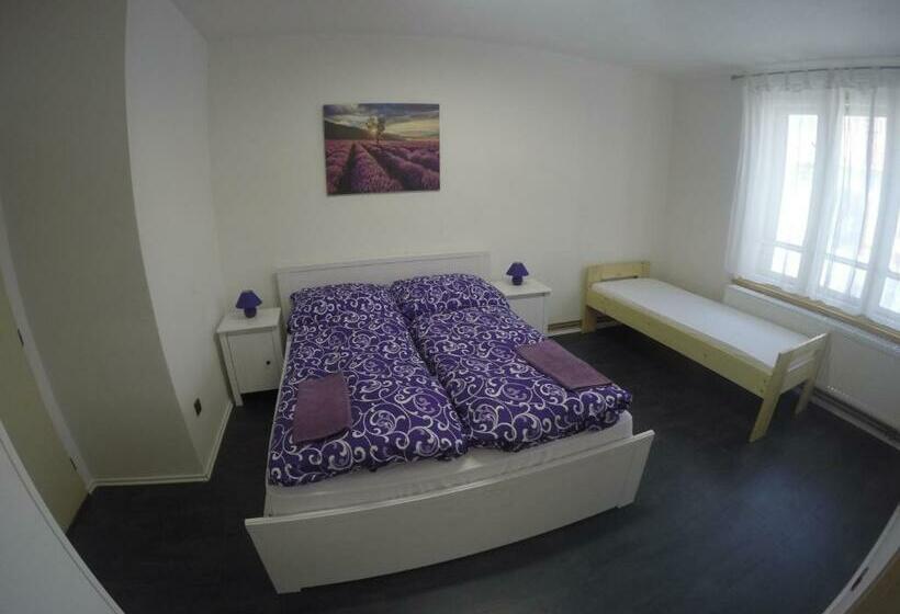 펜션 Penzion Ambrozie