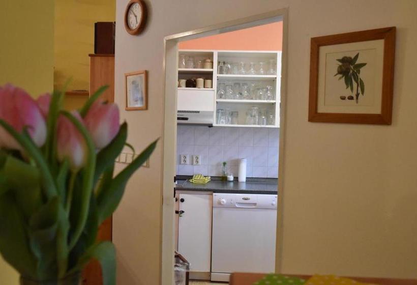 펜션 Penzion Bělidlo