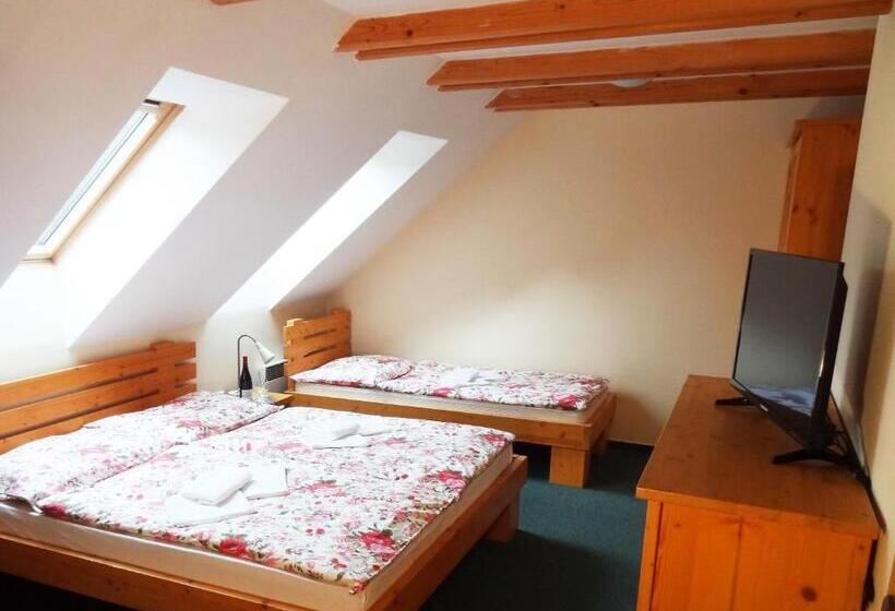 膳宿费 Penzion Bystrinka