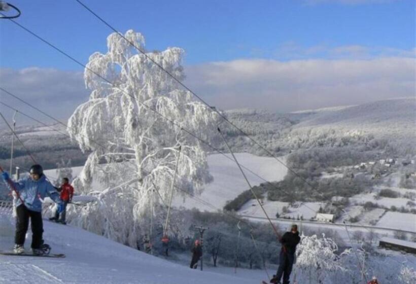 פנסיון Penzion Malovaný