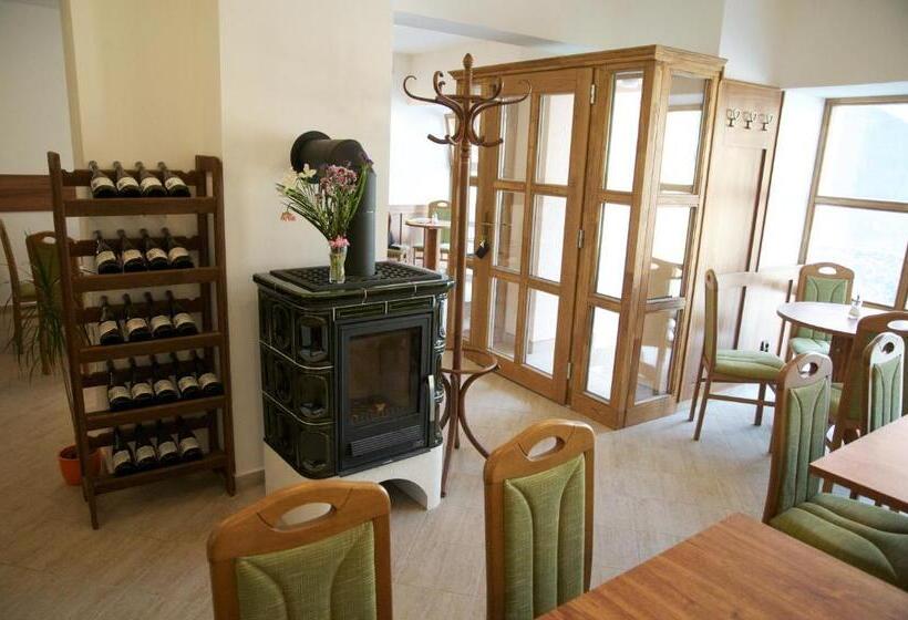 Пансион Penzion Pod Zámkem