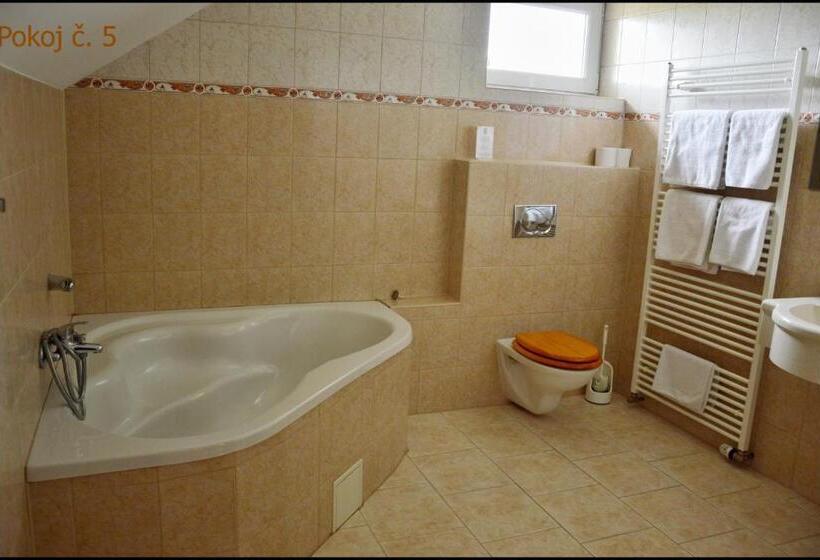 פנסיון Penzion Starý Dvůr