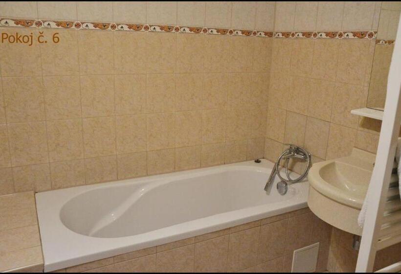 פנסיון Penzion Starý Dvůr