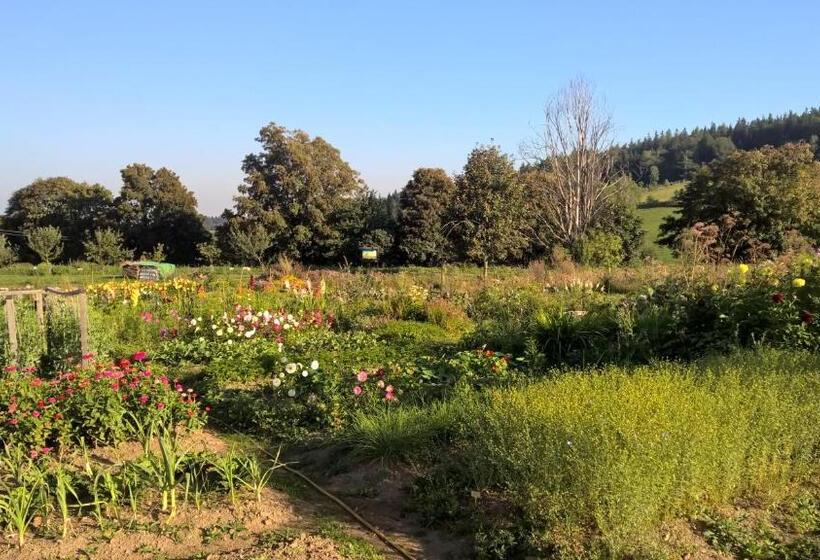 ペンション Penzion Stará Vápenka