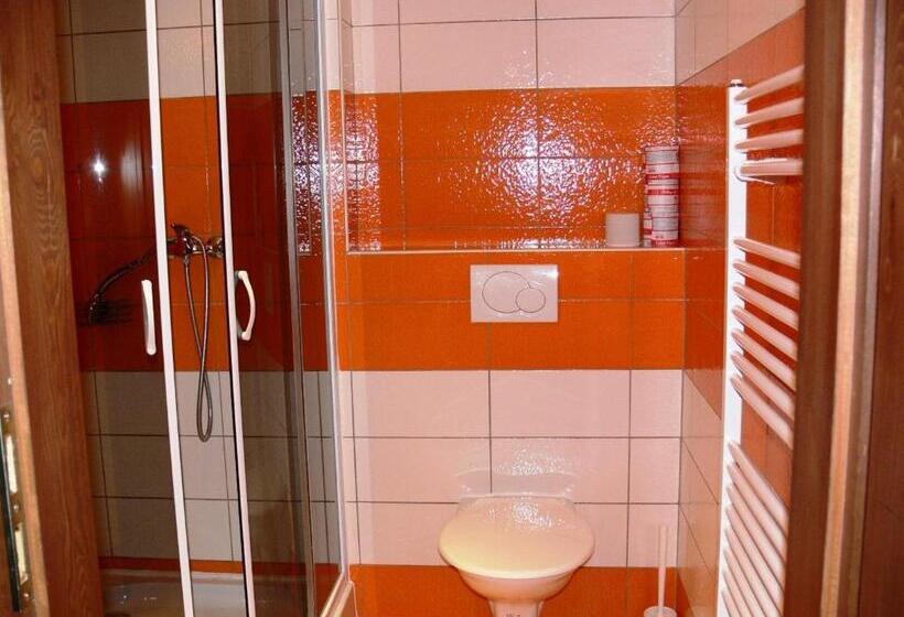 펜션 Penzion Továrníkova Vila