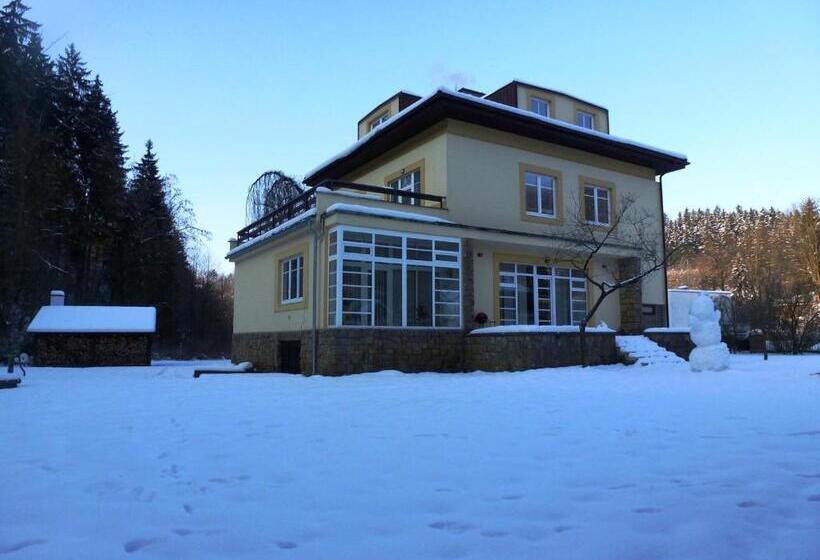 펜션 Penzion Továrníkova Vila