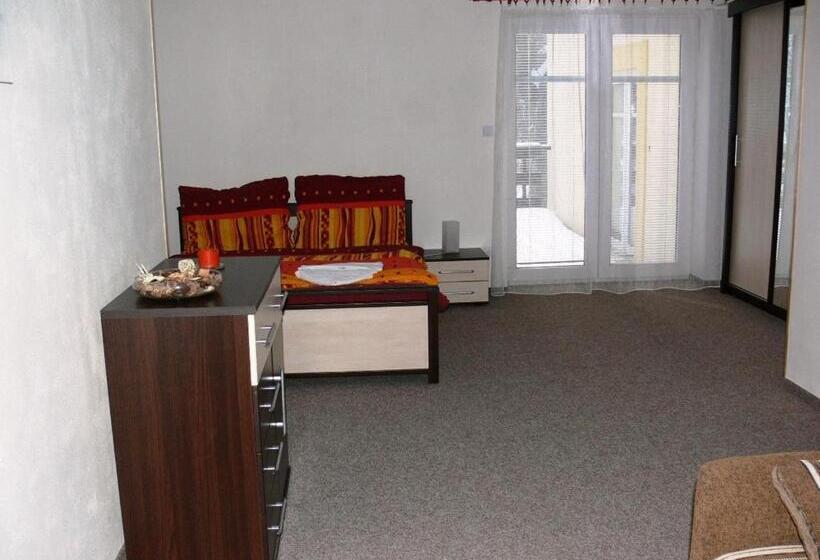 펜션 Penzion Továrníkova Vila