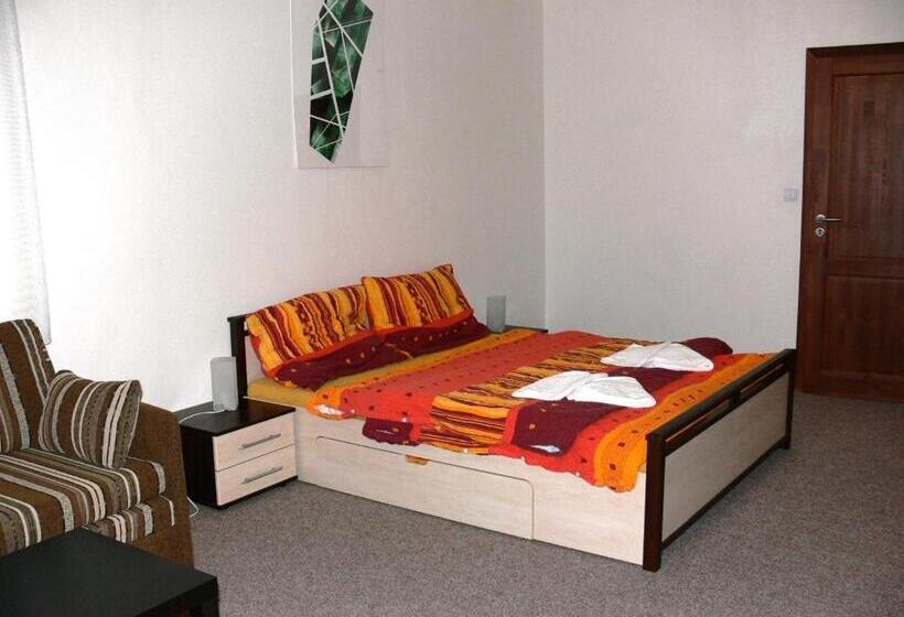 펜션 Penzion Továrníkova Vila