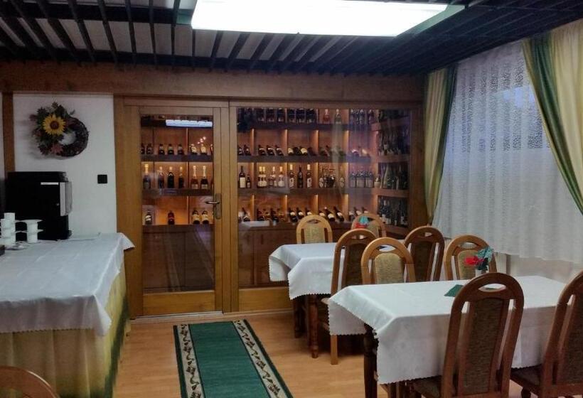 ペンション Penzion U šimona