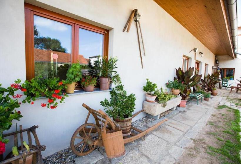 ペンション Penzion U Lípy