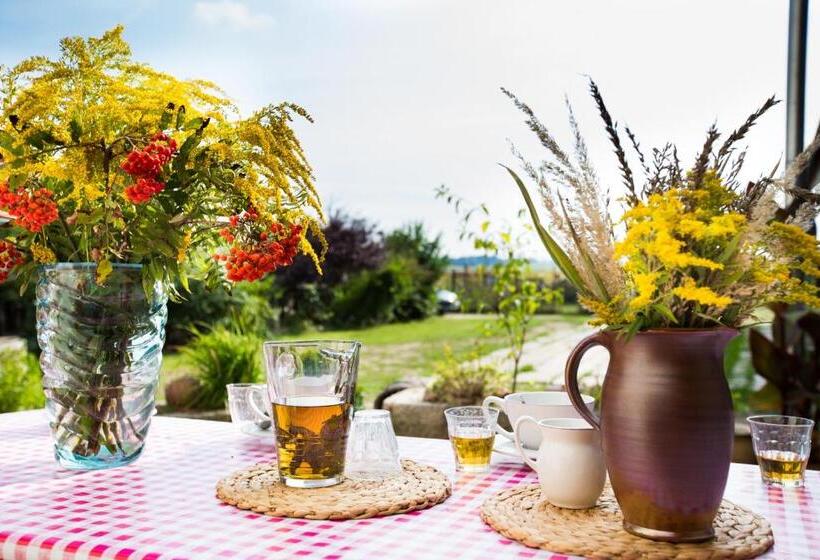 ペンション Penzion U Lípy