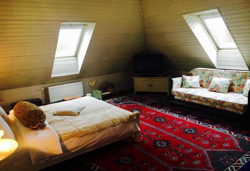 Пансион Penzion V Polích