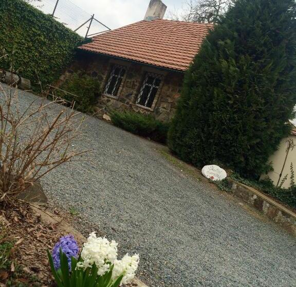 Пансион Penzion V Polích