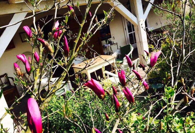 Пансион Penzion V Polích