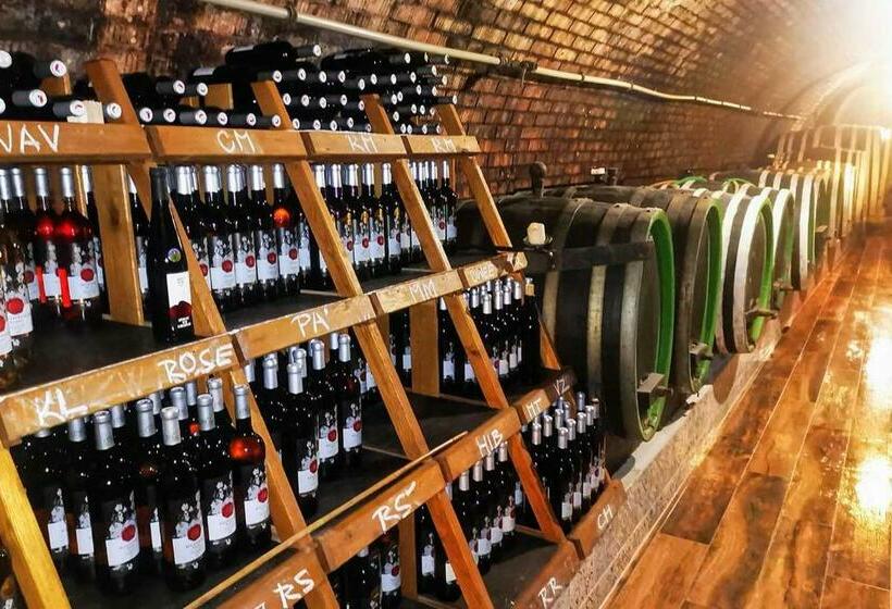 פנסיון Penzion   Vinařství Hanuš