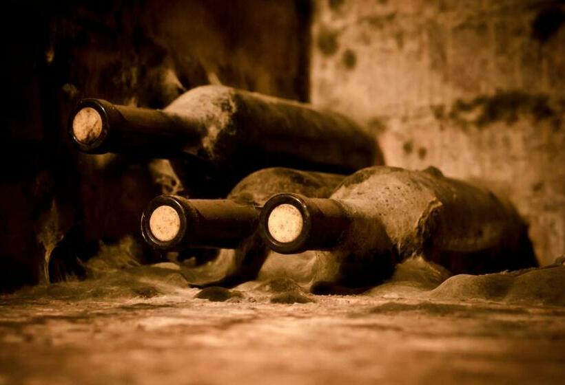 פנסיון Penzion   Vinařství Hanuš