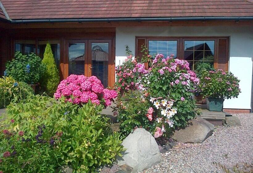 ペンション Pinetree Lodge Druridge Bay