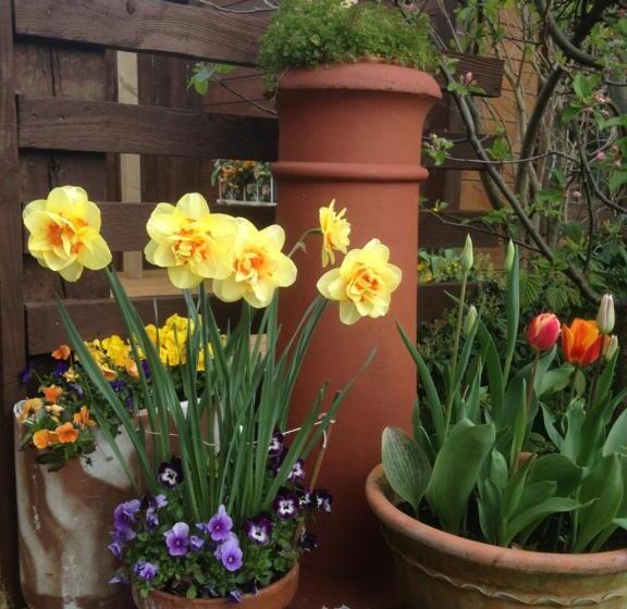 ペンション Pinetree Lodge Druridge Bay