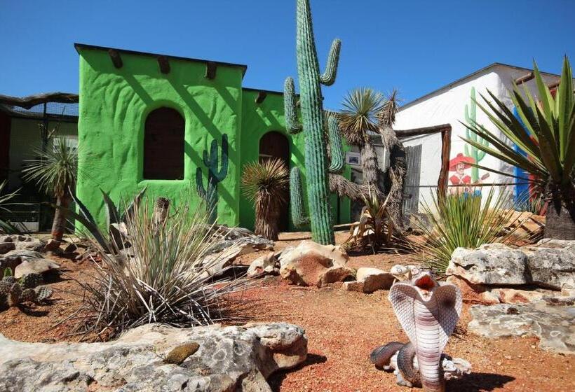 بنسيون Pivovarský Dvůr Plasy