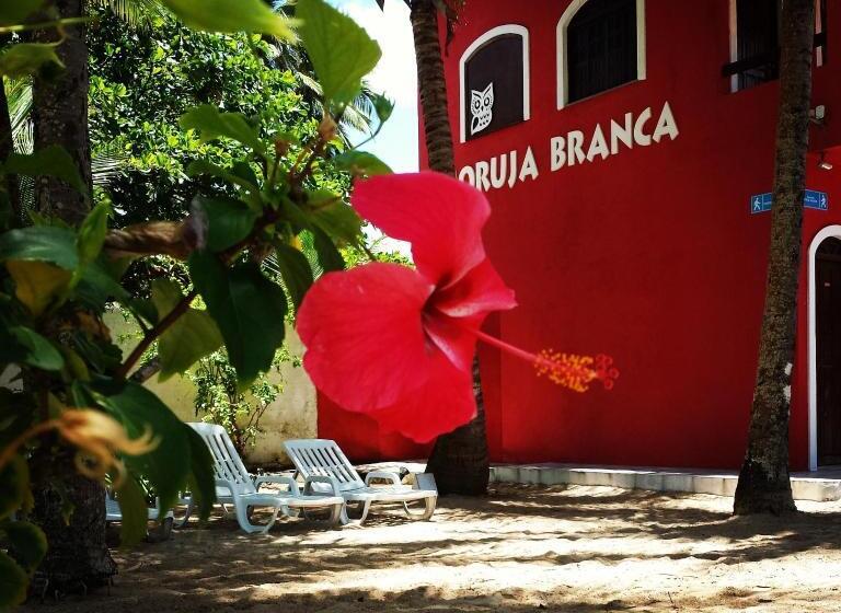 פנסיון Pousada Coruja Branca