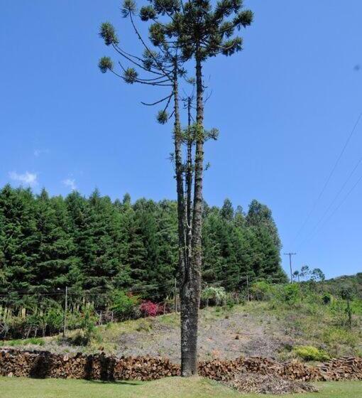 ペンション Pousada Sol Da Montanha