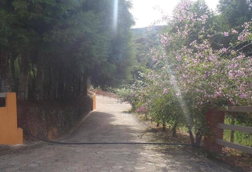 ペンション Pousada Sol Da Montanha