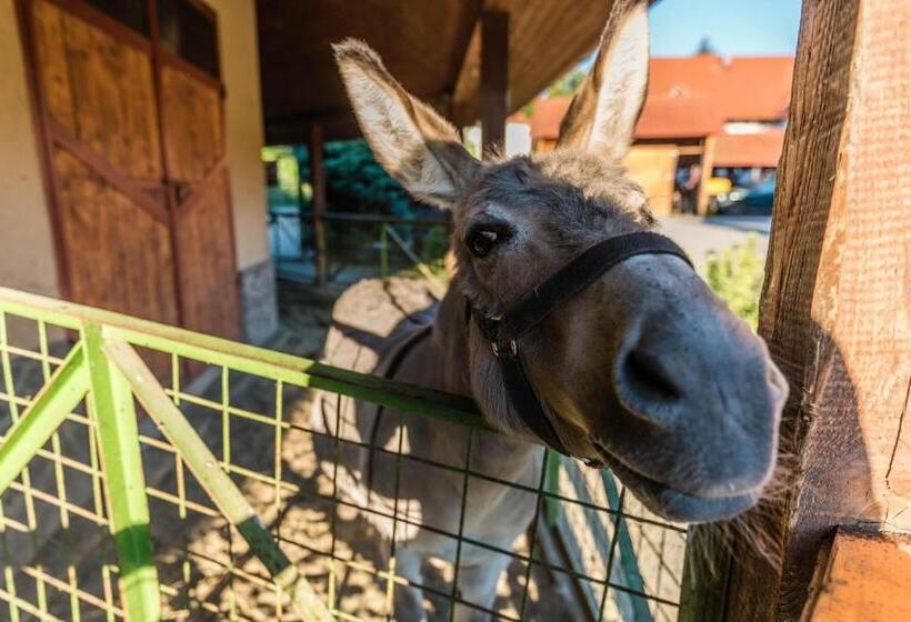 펜션 Rezort U Bobiho