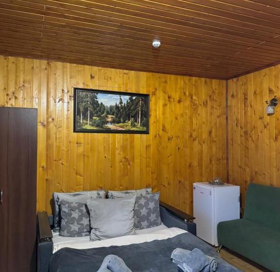 پانسیون готель близнюки