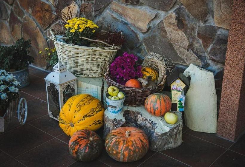 ペンション Sadyba Ertash